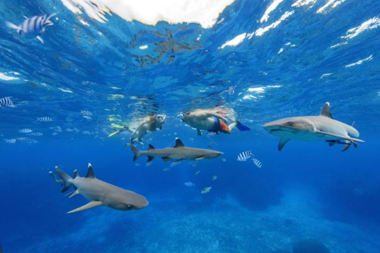 图源：斐济旅游局