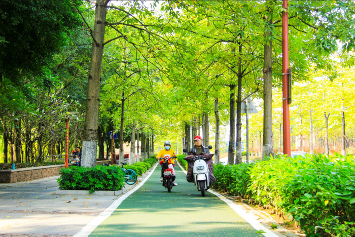 灯湖西路绿道。