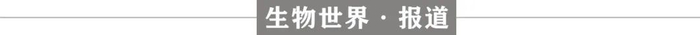 撰文丨王聪