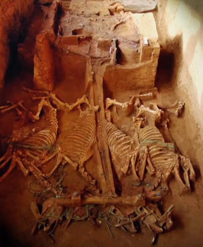 △发掘现场的车马坑