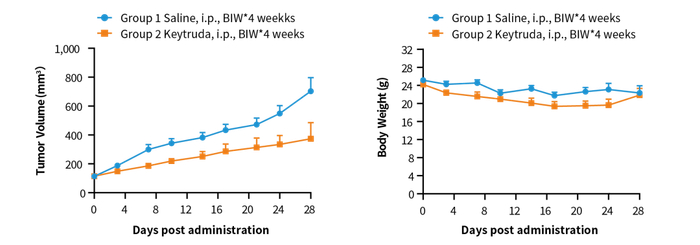 图12. 利用乳腺癌（MDA-MB-231）hu-PBMC模型进行体内药效研究