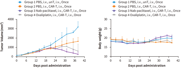 图9. 利用结肠癌（HCT116）CDX模型进行CAR-T及化疗联合治疗药效验证实验