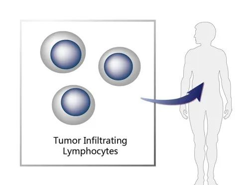 图5. lifileucel作用机制示意图，来源：药渡数据