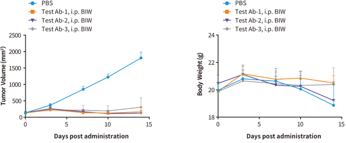 图11. 利用骨髓瘤（H929）hu-PBMC模型进行体内药效研究