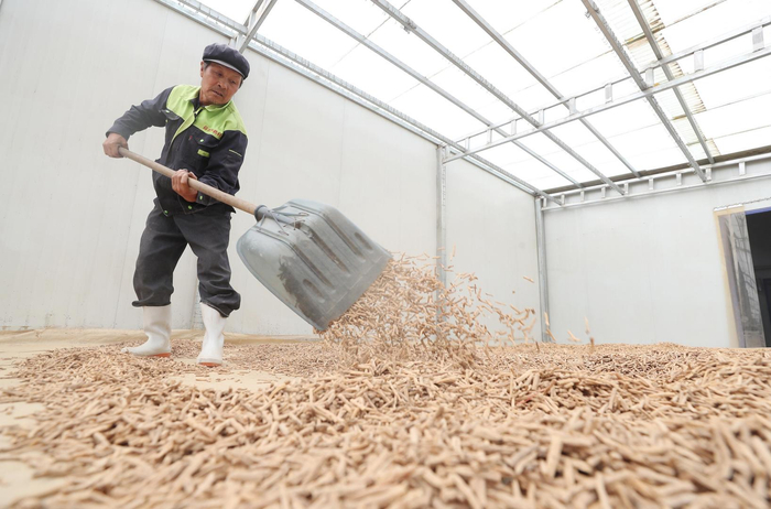 ▲资料图 图据视觉中国