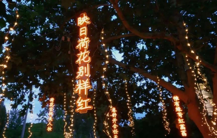 图片来源：顺义区园林绿化服务中心微信公众号