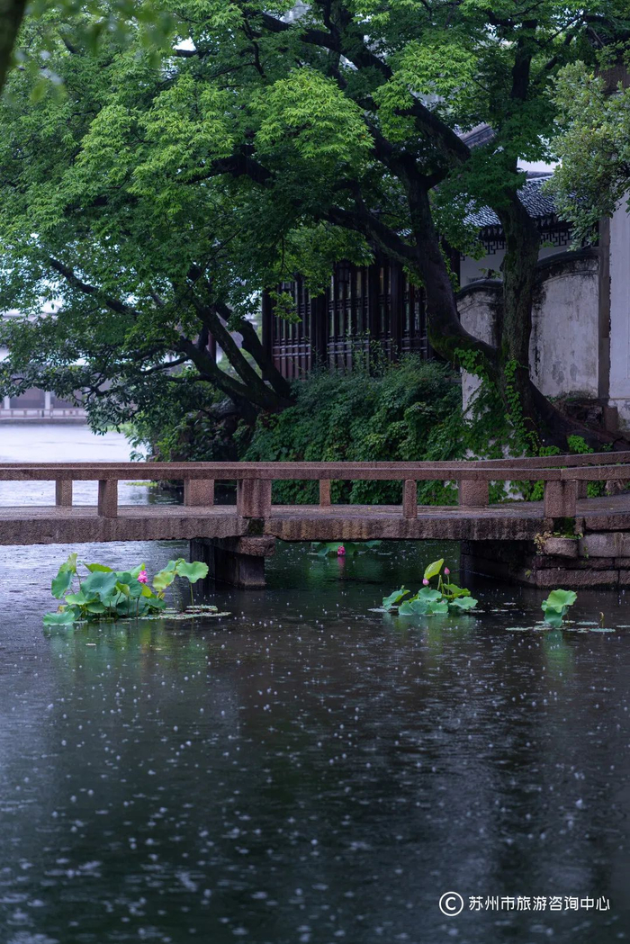 图源：好玩苏州