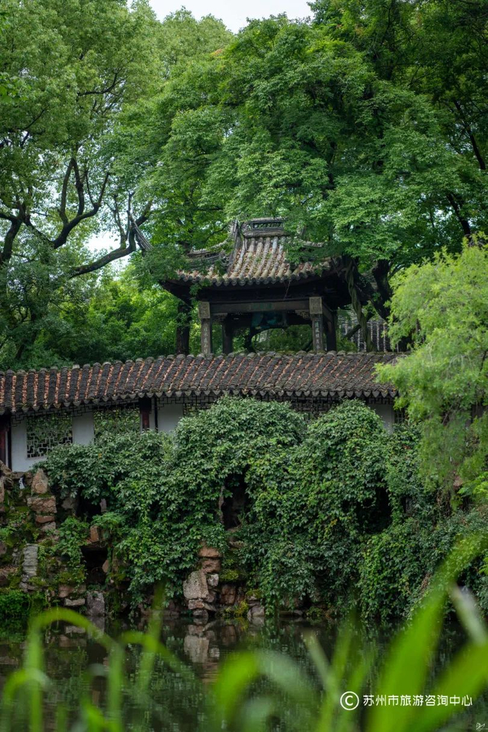 图源：好玩苏州