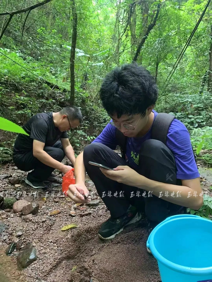 张逸轩和爸爸在山里采集小螃蟹。