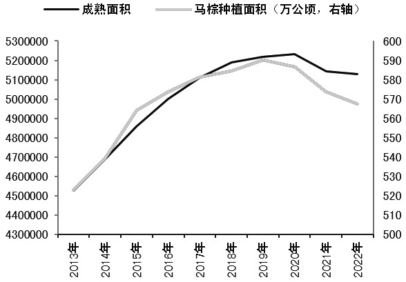 图为马棕种植面积