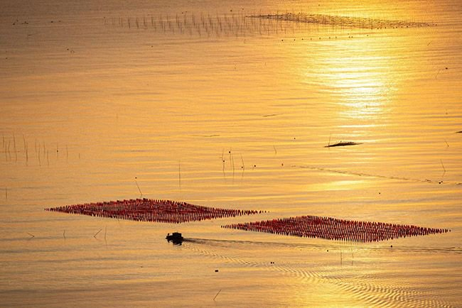 霞浦县花竹村日出时分 徐讯 摄影