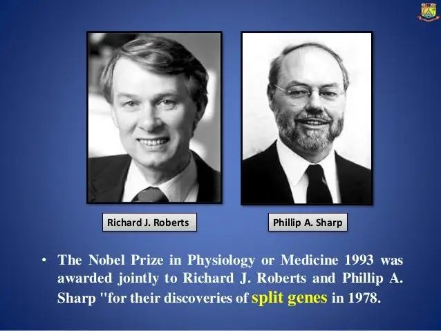 （图片来源：诺贝尔奖官网/网络）