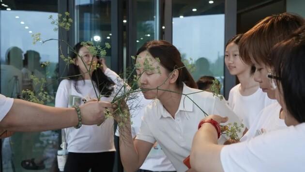 （采草药，学习草本知识）