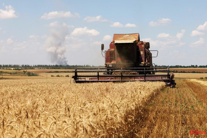 ▲黑海地区素有“世界粮仓”之称 资料图