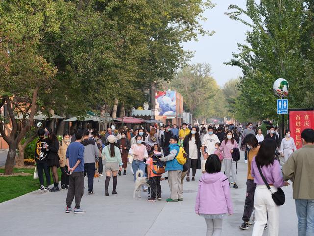 798园区。798供图