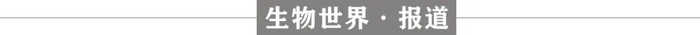 编辑丨王多鱼