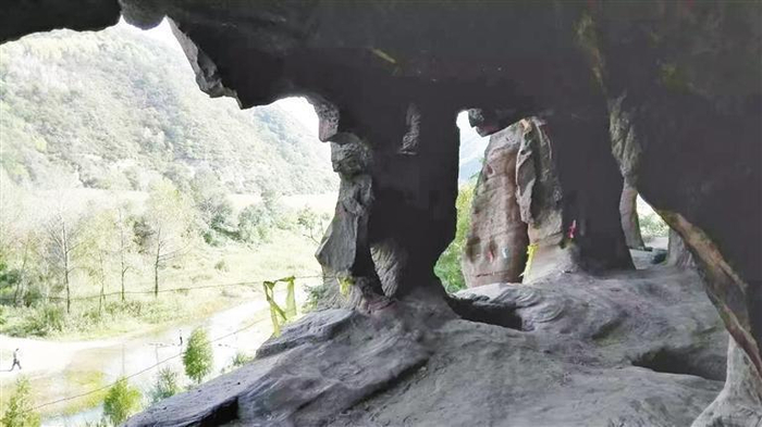 黑牛窝崖居群内部。