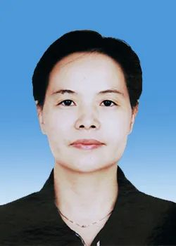 图片来自合肥市政府网站