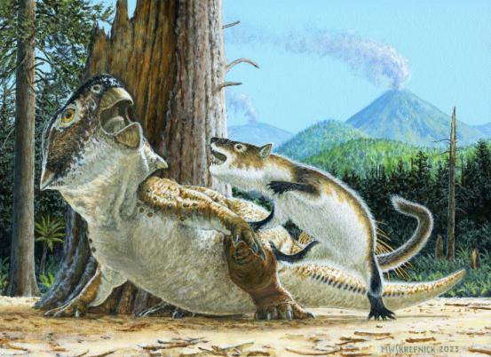 艺术复原图：1.25亿年前，强壮爬兽捕食鹦鹉嘴龙。Michael Skrepnick 图