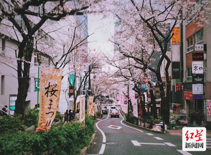 △多摩新城的城市品质完全不输东京主城区