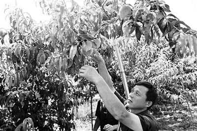 摄影/本报记者  魏彤