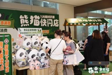 （熊猫巡游、熊猫快闪）