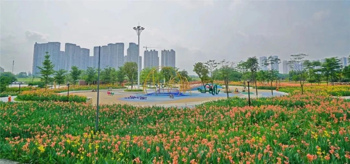 石湾湿地公园。