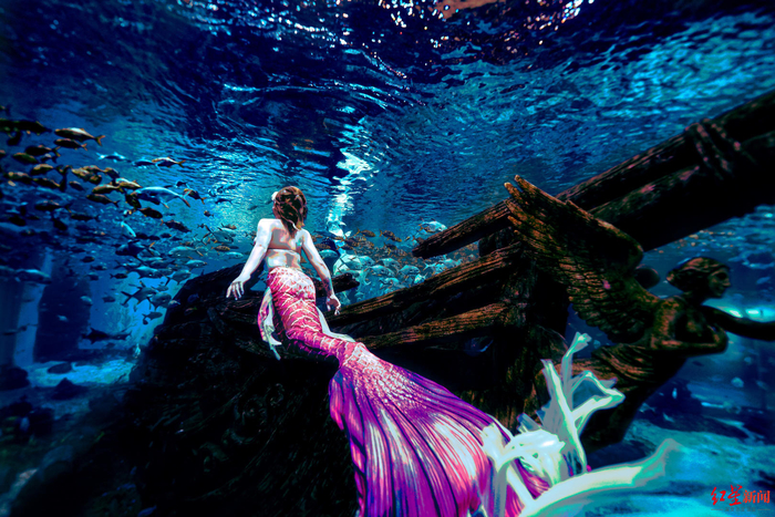 ▲李熙扮演的美人鱼