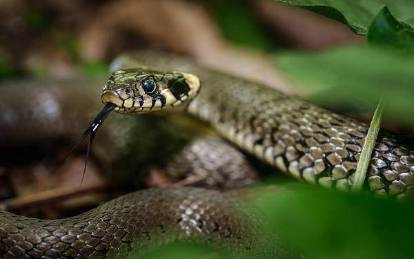 图源：视觉中国