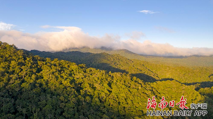 9月26日，俯瞰海南热带雨林国家公园体制试点区吊罗山片区。海南日报记者 李天平 摄