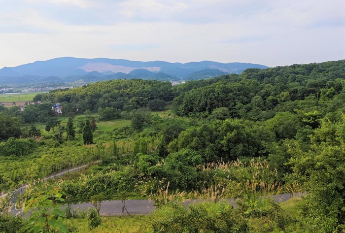　　如今的江西省瑞昌市夏畈镇夫山矿山公园绿意葱茏。新华社记者刘杨 摄