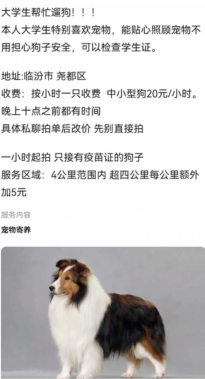 图/张扬靠在闲鱼发帖接单，来源/张扬提供
