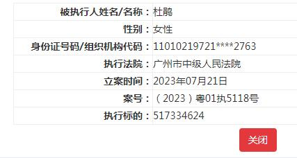 以上均截图自中国执行信息公开网