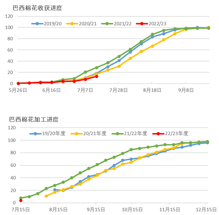 数据来源：巴西棉花种植者协会，大地期货研究院