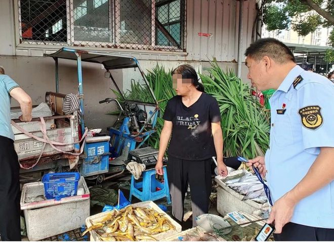 ▲执法人员日常巡查桐屿综合菜市场。资料图片