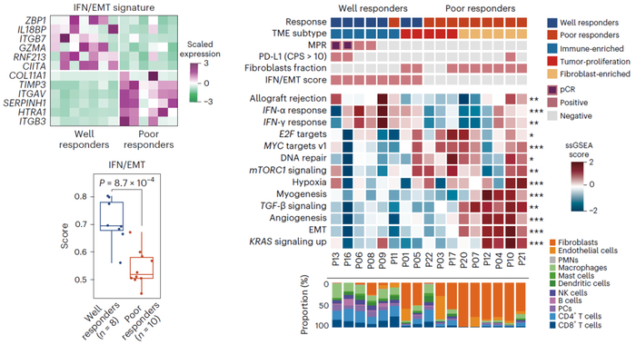 图3. 治疗响应组与非响应组的免疫微环境组学特征