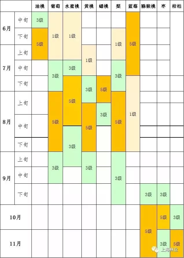 注：按果品适宜采摘期分1\3\5等级，等级数高表示该时间段果品数量多、风味佳。      