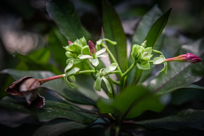 ▲摄影师：光华（未经允许谢绝转载）