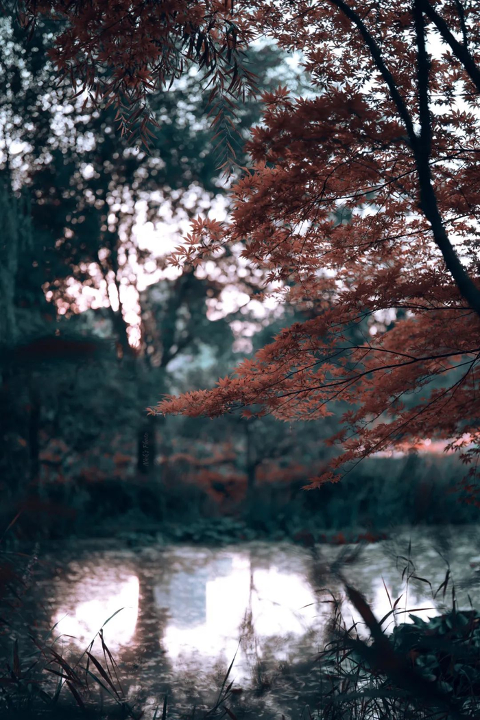 ▲摄影师：田平宁（未经允许谢绝转载）