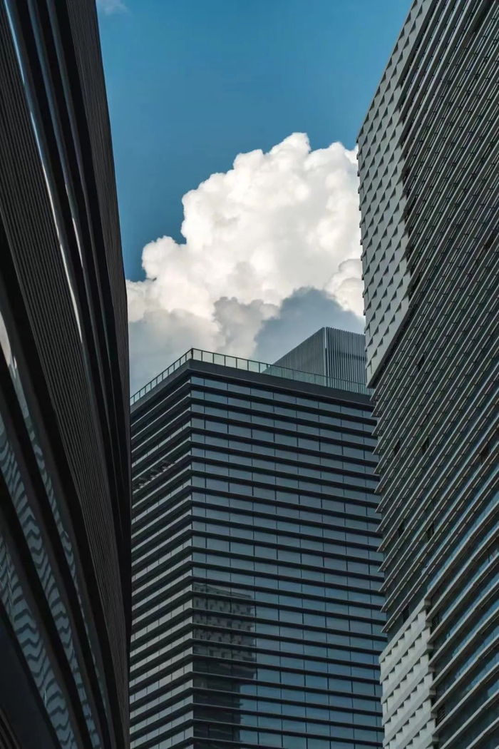 ▲摄影师：韩旭东（未经允许谢绝转载）