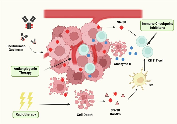 图7. 与免疫疗法联用