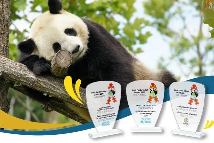 2019年1月，博瓦尔动物园的“圆梦”家族获得“大熊猫全球奖”提名。图片来源：博瓦勒野生动物园官网
