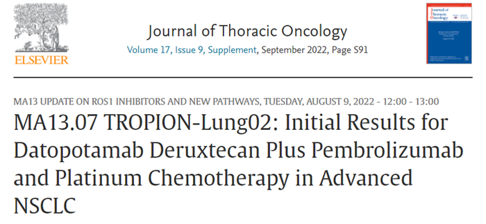 图5. 与铂类化疗药物联用策略