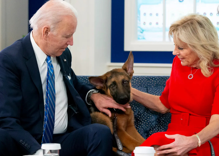 拜登和他的牧羊犬“指挥官”&nbsp; 图：《纽约邮报》