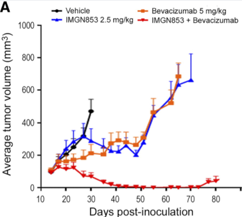 图8. 与抗血管生成抑制剂联用策略