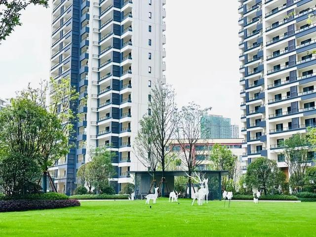 碧桂园·江山赋实拍图