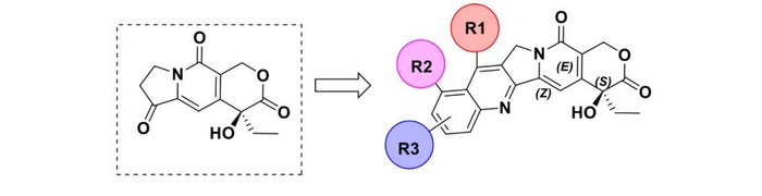 伊喜替康类毒素