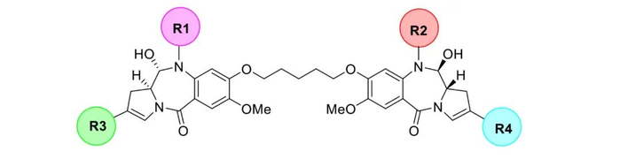 PBD二聚体类毒素