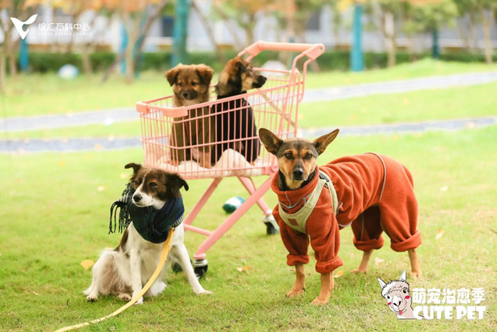 徐汇万科广场往期社群活动