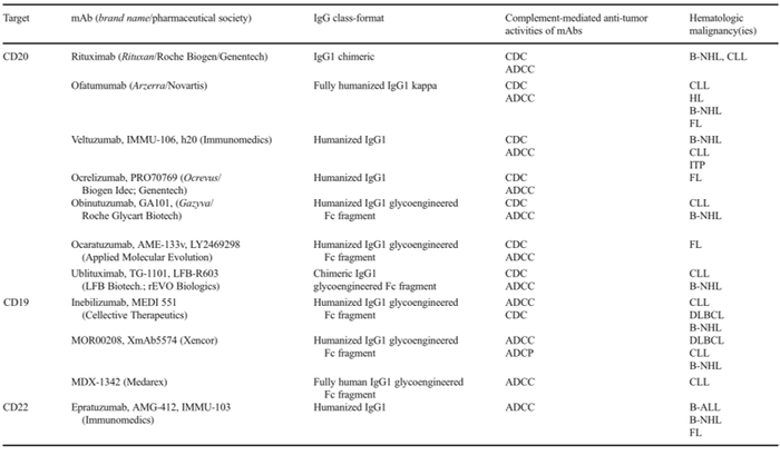 图5特异性靶向B细胞的单克隆抗体